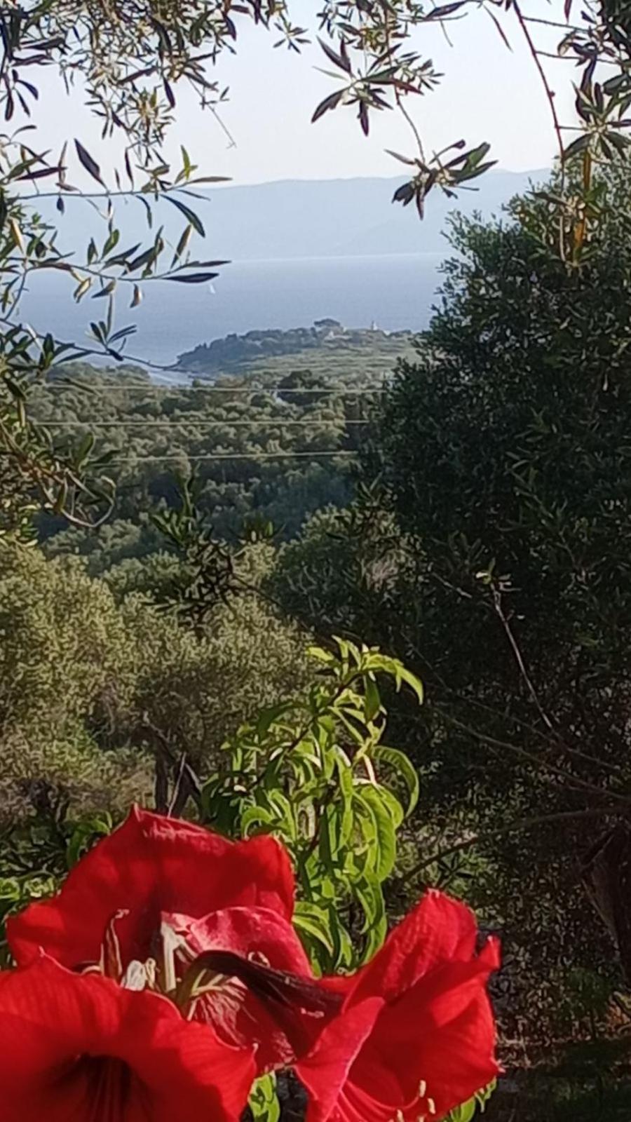 Villa Makris Zenempisatika Bagian luar foto